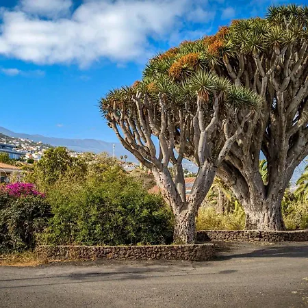 Vista Mar Azul Elegante Y Acogedor Apartamento