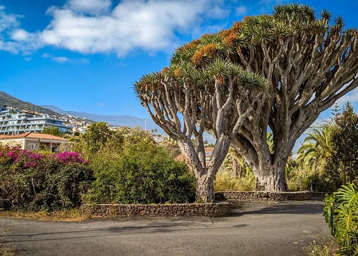 Vista Mar Azul Elegante Y Acogedor Apartment